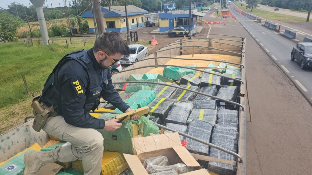 VÍDEO: PRF apreende mais de 5,4 toneladas de maconha em caminhão no Paraná