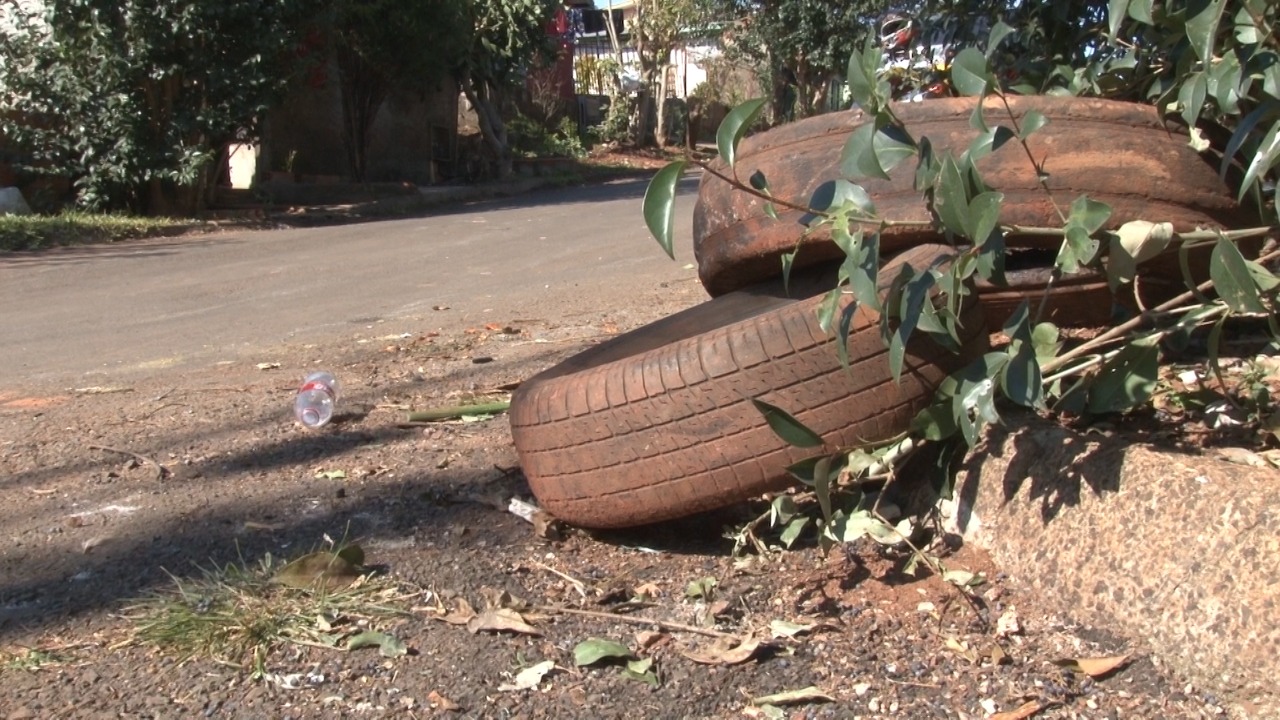 No dia 25 será realizado o dia 