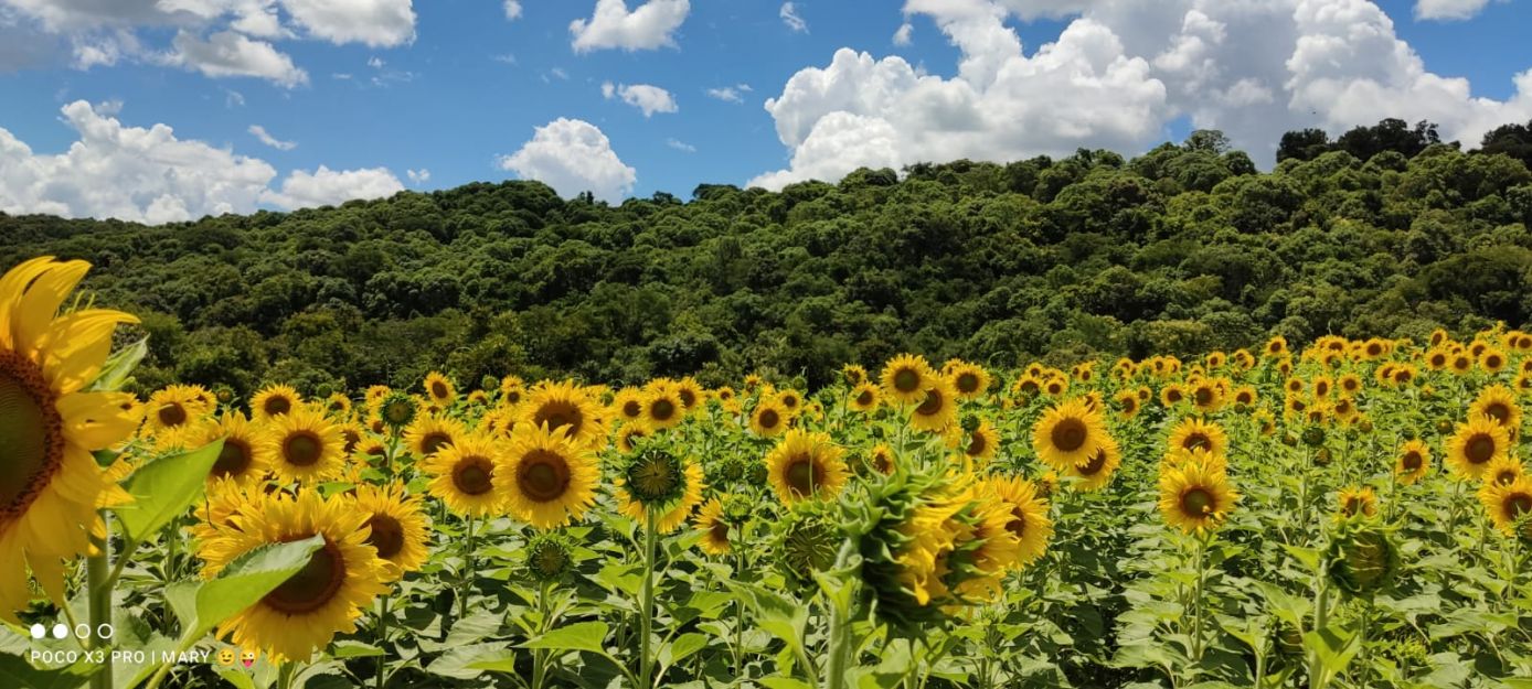 Foto: Divulgação/Parque das Quedas