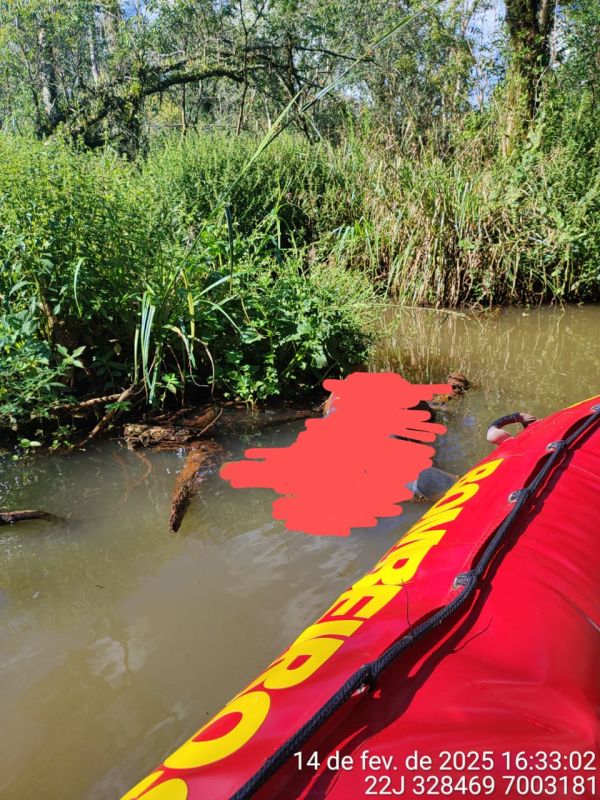 Bombeiros foram acionados para resgatar a vítima. (Foto: Corpo de Bombeiros)
