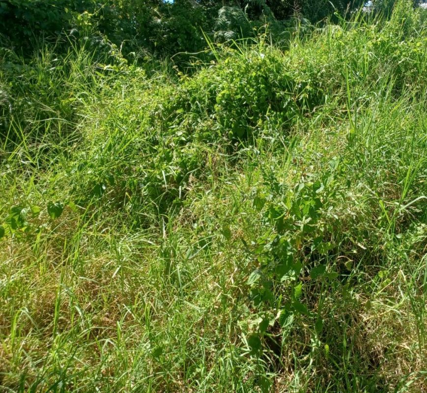 Foto: Prefeitura de Chapecó