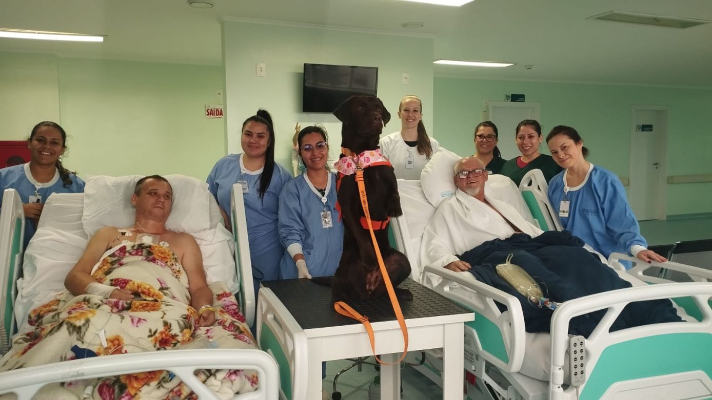 Foto: Hospital Regional São Paulo