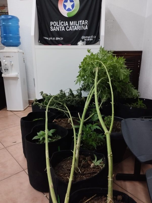 Foto: Polícia Militar