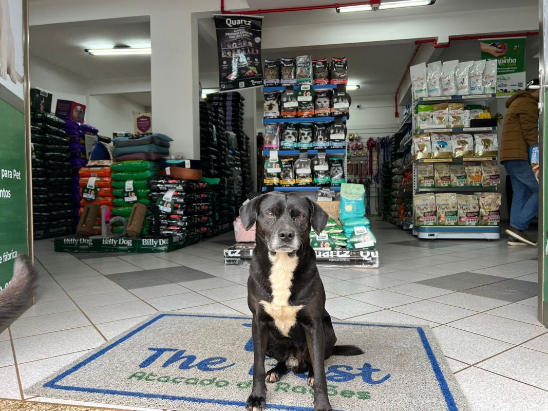 VÍDEO: Ração de qualidade para o seu pet e preço justo você encontra na The Best Atacado de Rações