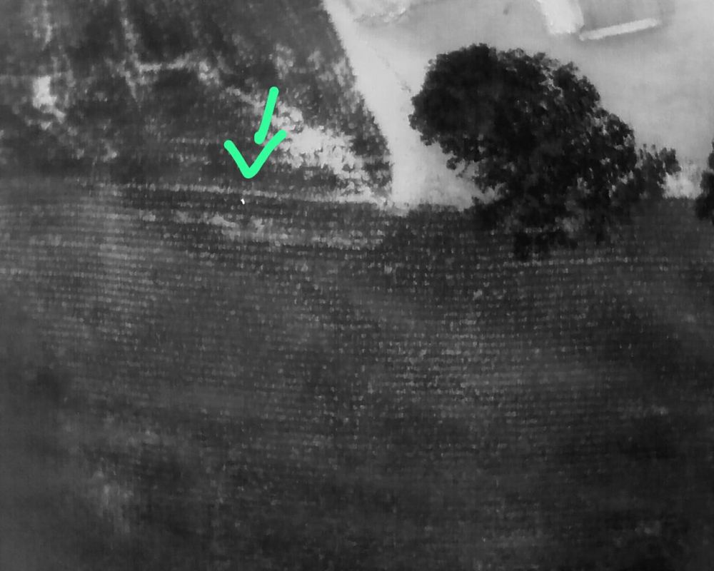 Idoso desaparecido é localizado por equipes do Corpo de Bombeiros 