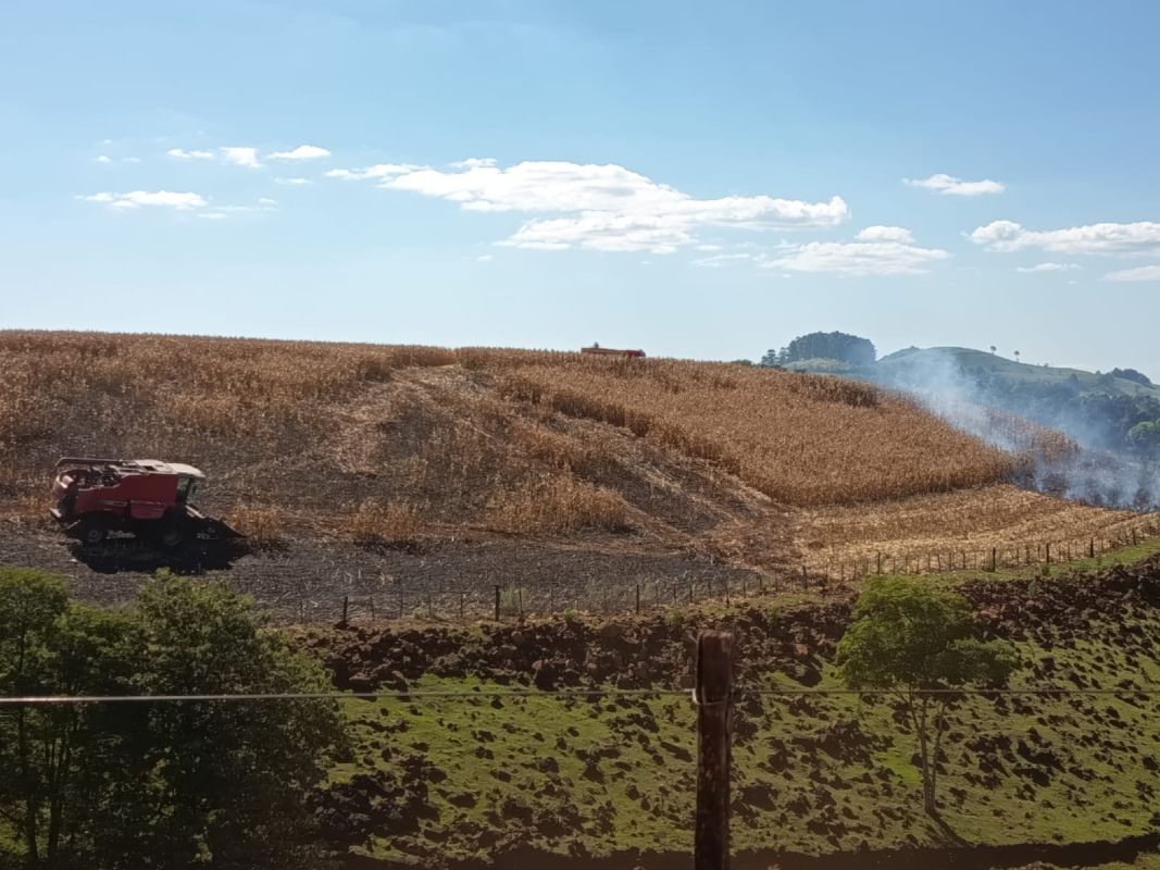 Incêndio atinge colheitadeira e lavoura de milho em município do Oeste