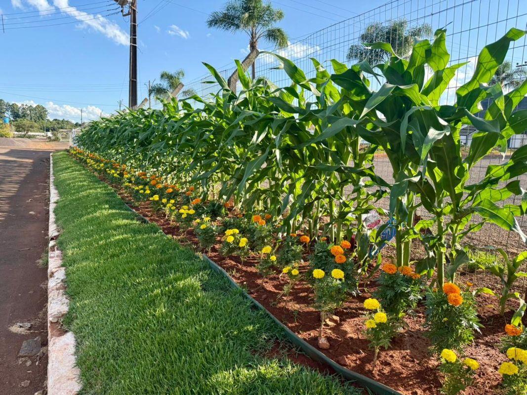 Paisagismo da ExpoFemi 2026 aposta em flores, milho e espaços temáticos