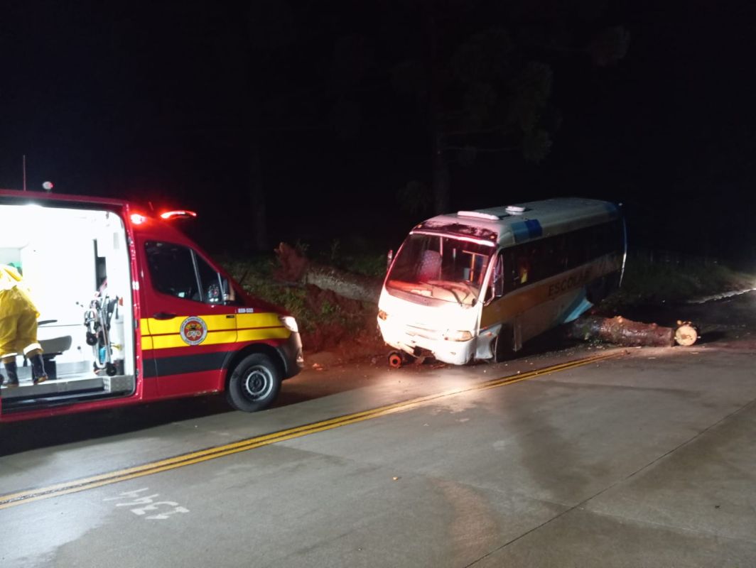 Queda de pinheiro bloqueia SC-305 e causa acidente com micro-ônibus no Oeste