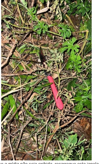 Homem é esfaqueado no Centro de Xanxerê e suspeito é preso na Rodoviária