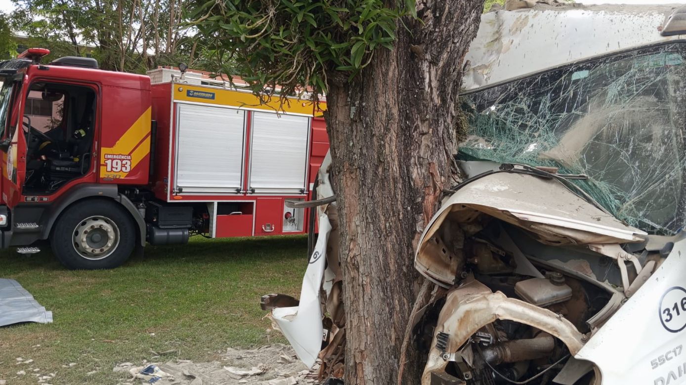 Caminhão colide contra árvore e deixa dois feridos no centro de Nova Erechim