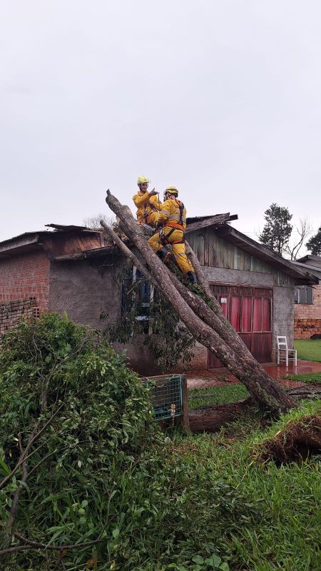 Queda de árvores atinge residências e mobiliza bombeiros em São Domingos
