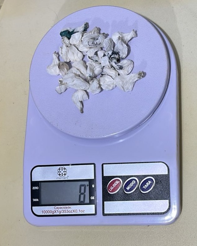 Polícia Civil desarticula ponto de tráfico e apreende drogas em São Domingos