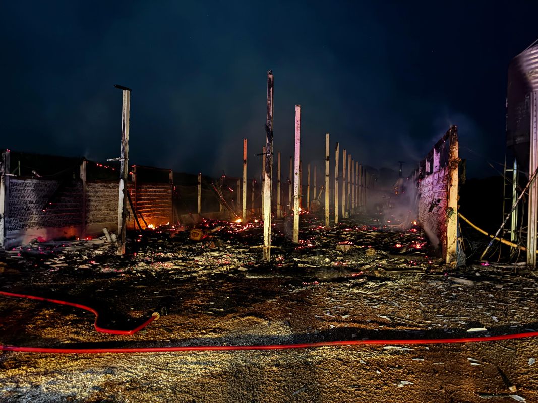 Incêndio em aviário mobiliza bombeiros durante a madrugada em Entre Rios