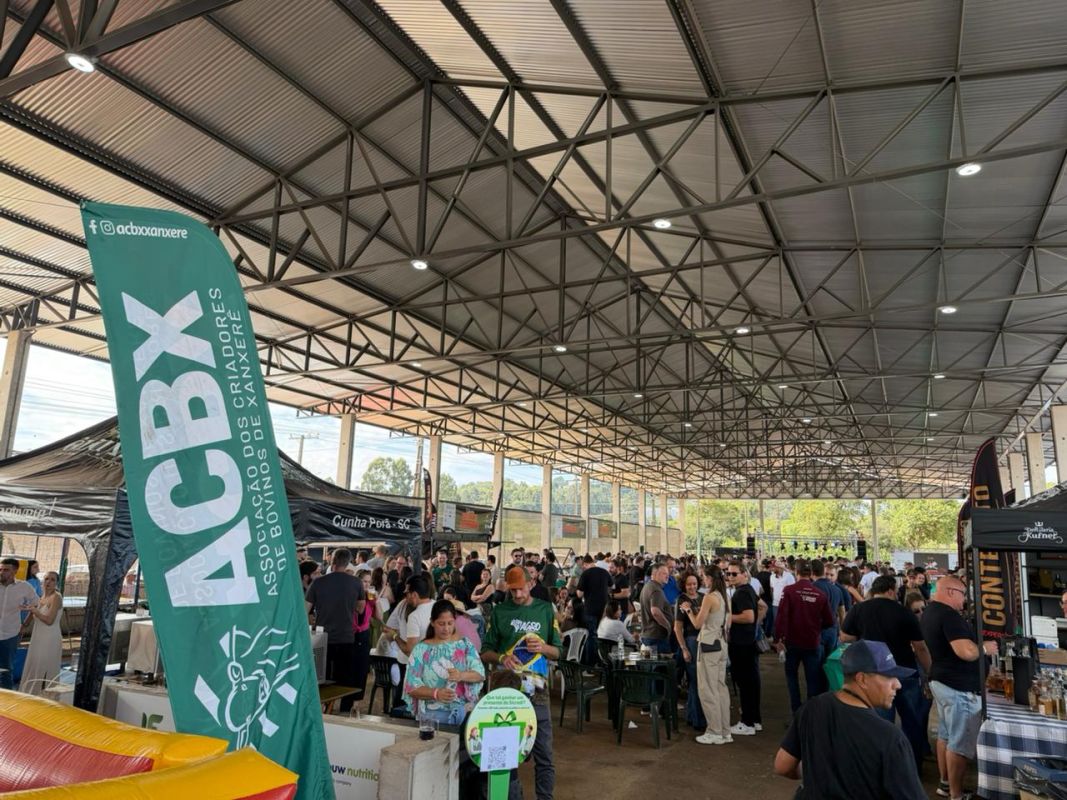 VÍDEO: Festival do Churrasco reúne ótimo público e solidariedade em Xanxerê