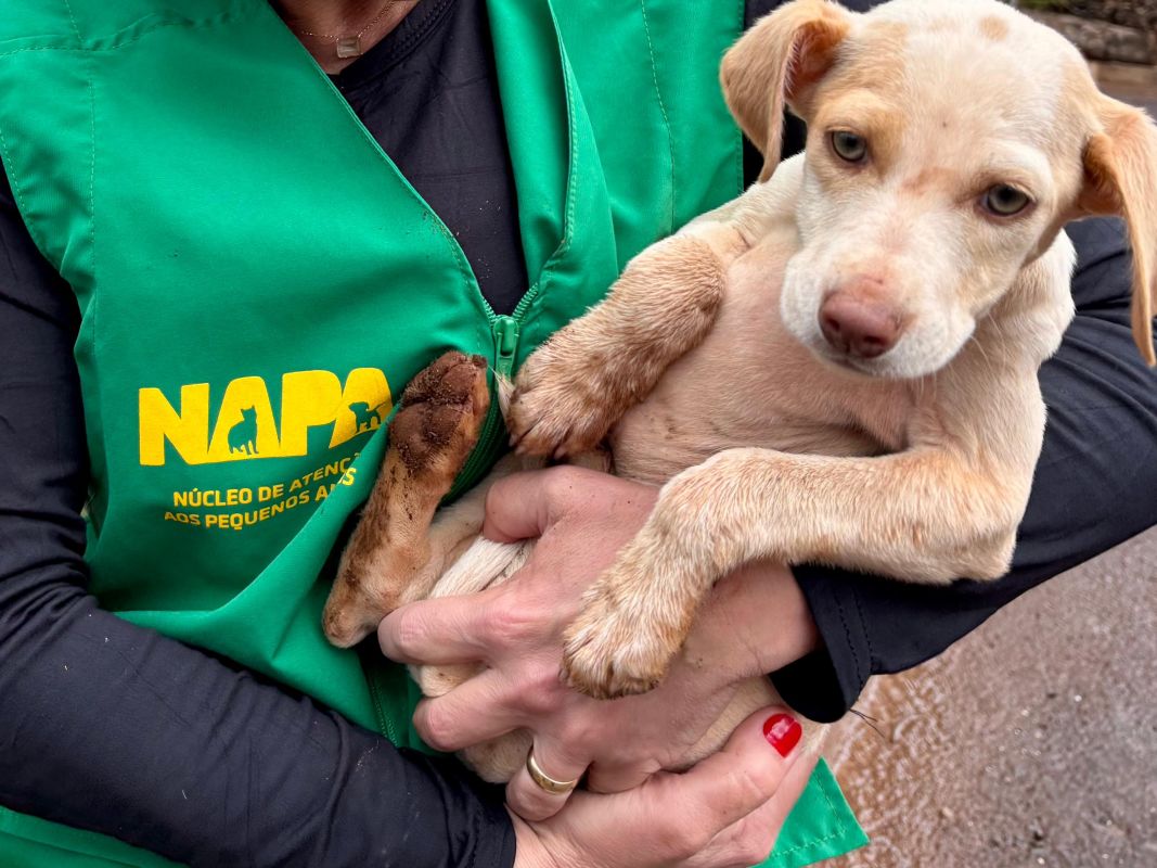 Foto ilustrativa: Daniel Braga/Prefeitura de Chapecó