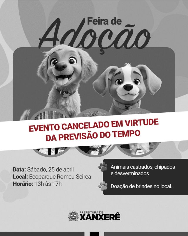 Feira de Adoção de Cães que aconteceria no sábado é cancelada devido à previsão de chuva