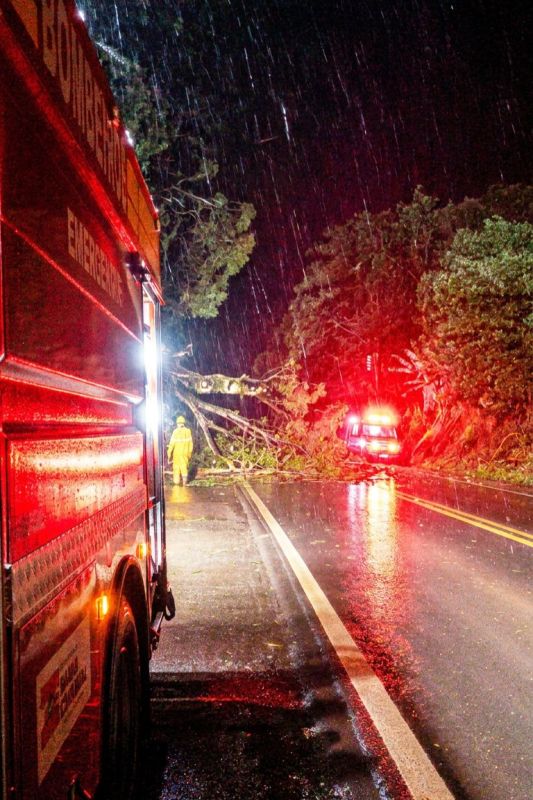 Bombeiros removem árvores caídas sobre a BR-158 durante a madrugada 