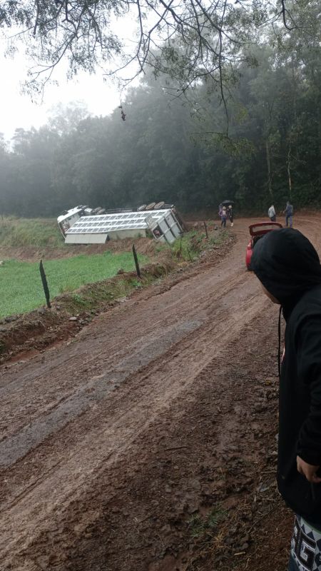 VÍDEO: Carreta carregada com suínos tomba no interior de Xaxim