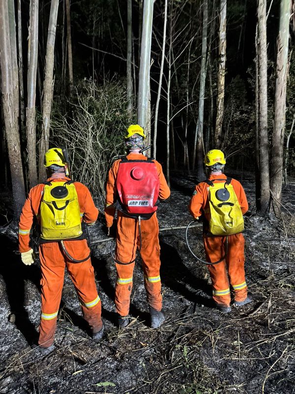 Incêndio em plantação de eucaliptos mobiliza bombeiros no interior de município do Oeste