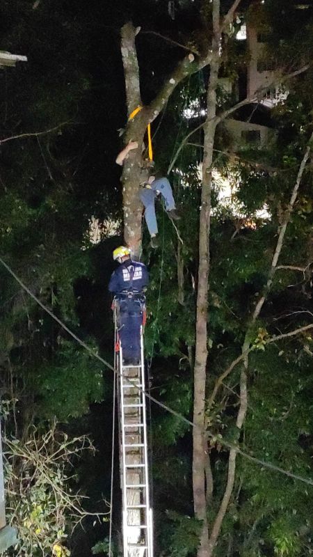 Trabalhador fica preso a 15 metros de altura após acidente durante corte de árvore