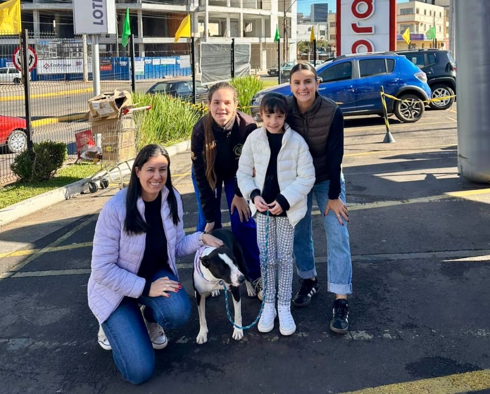 Feira de adoção garante novo lar para nove cães em Xanxerê