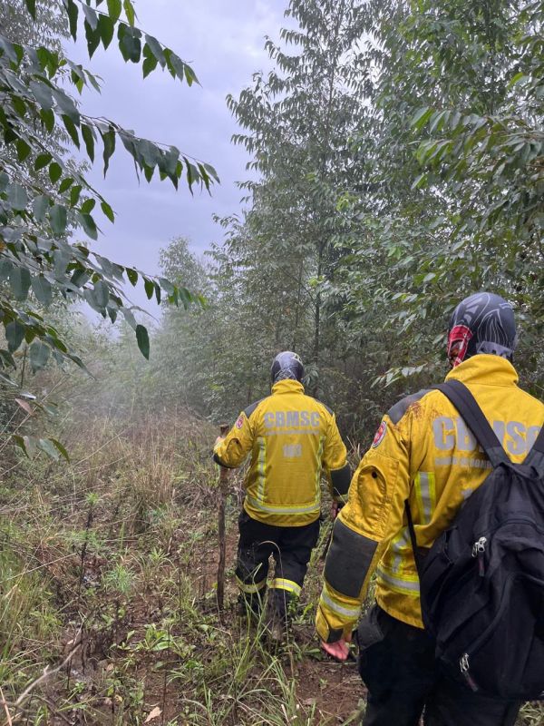 Bombeiros mantêm buscas por homem desaparecido em área rural de Seara