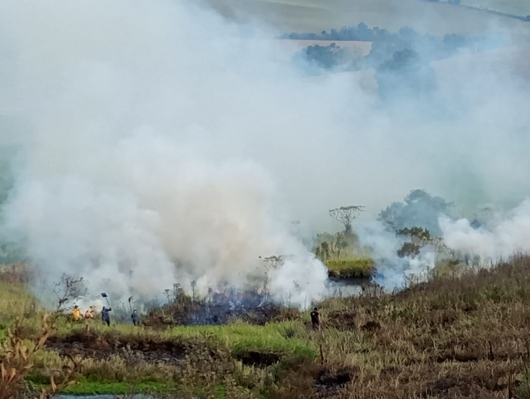 Incêndio em vegetação destrói cerca de 10 mil metros quadrados em município do Oeste