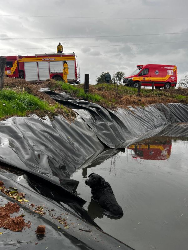 (Foto: Corpo de Bombeiros)