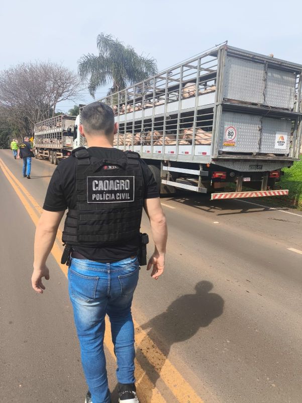 Operação conjunta fiscaliza transporte de animais e produtos agropecuários em Palmitos