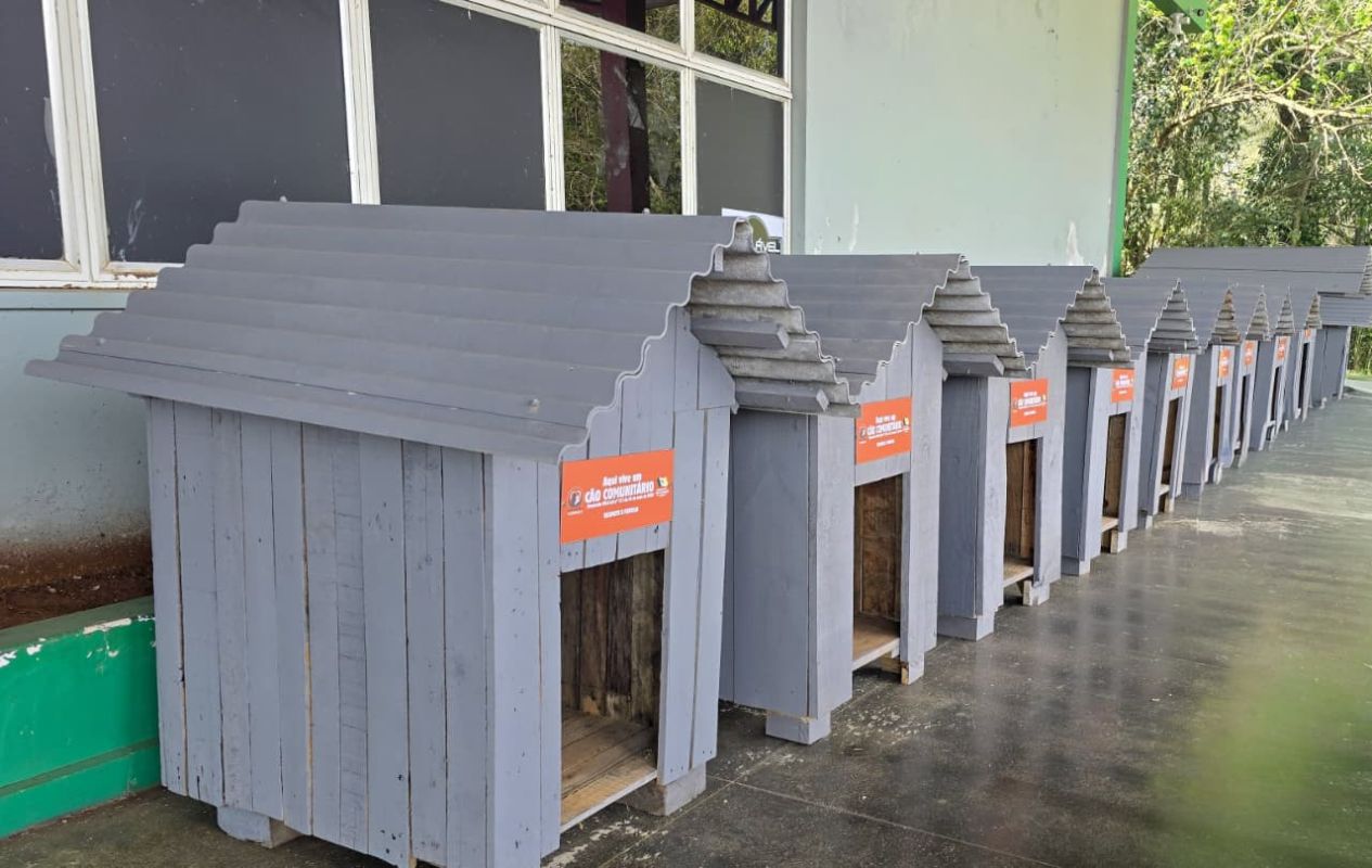São Domingos lança programa para oferecer abrigo a animais em situação de vulnerabilidade