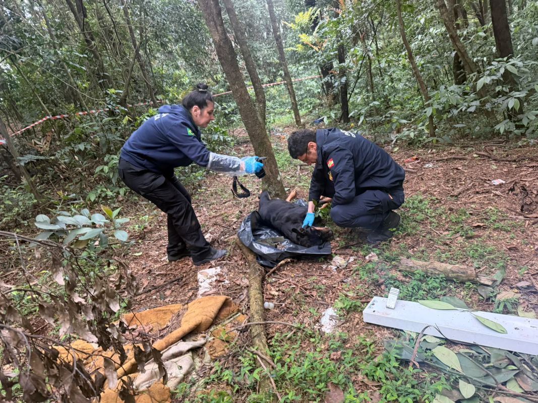 (Foto: Polícia Civil)