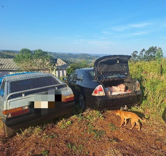 (Foto: Polícia Militar)