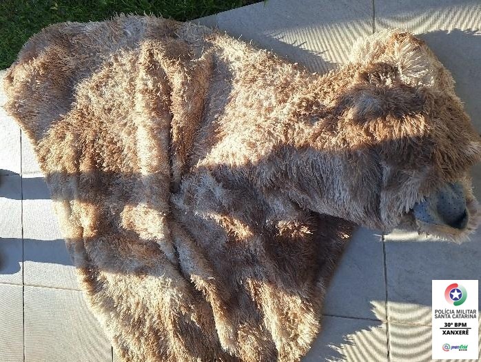 Tapete furtado de sacada é recuperado pela PM em Xanxerê