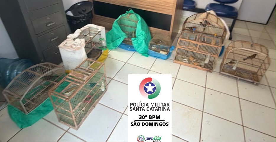 (Foto: Polícia Militar)