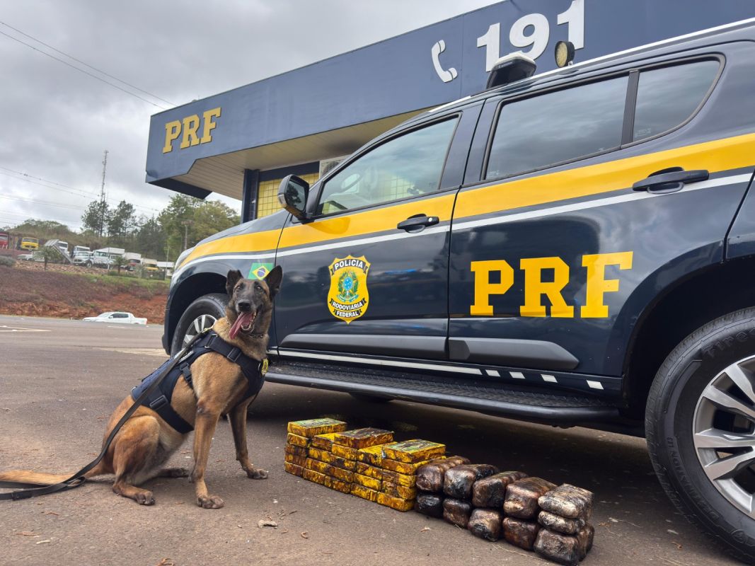 VÍDEO: Cães farejadores encontram 35 quilos de drogas escondidos no catalisador de carreta em Xanxerê