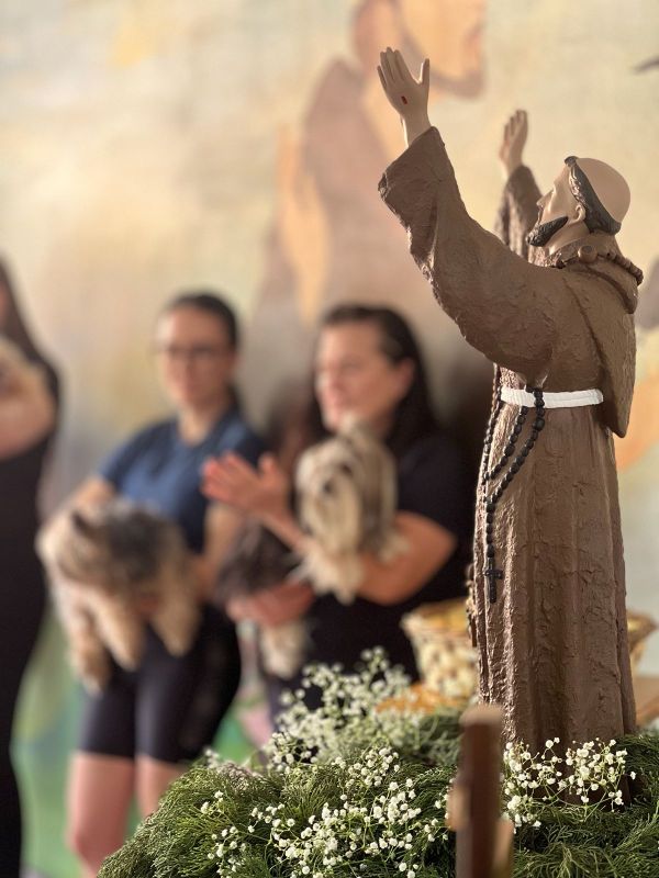 (Foto: Divulgação)