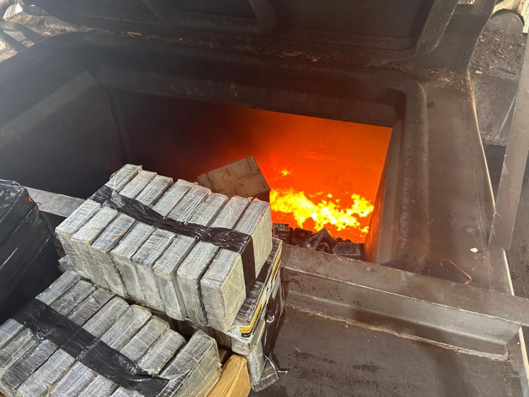 PF e PM incineram 5,3 toneladas de drogas apreendidas em Santa Catarina