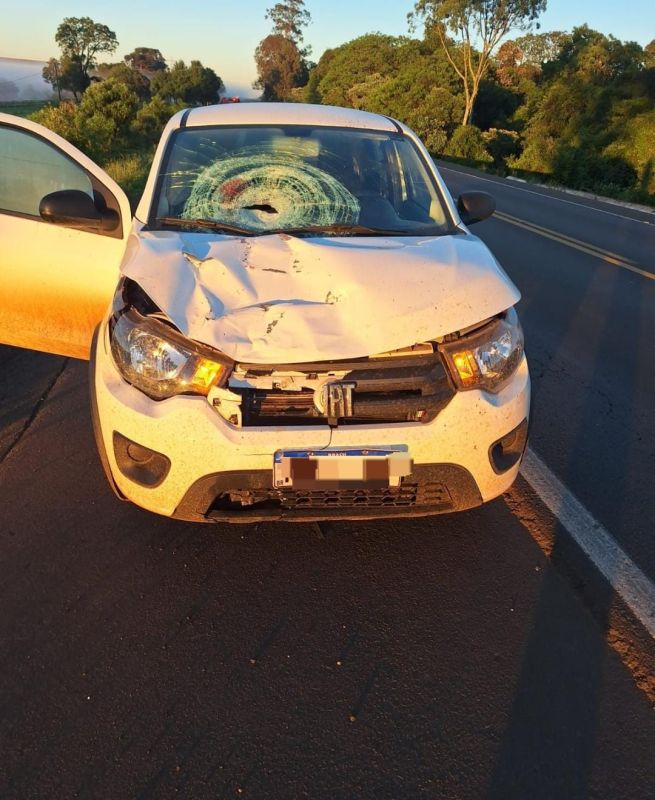Atropelamento na BR-282, em Xanxerê, deixa homem de 53 anos morto