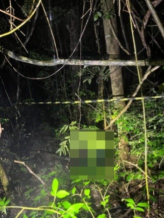 Mulher de 54 anos é encontrada morta em área de mata após investigação de desaparecimento em Faxinal dos Guedes