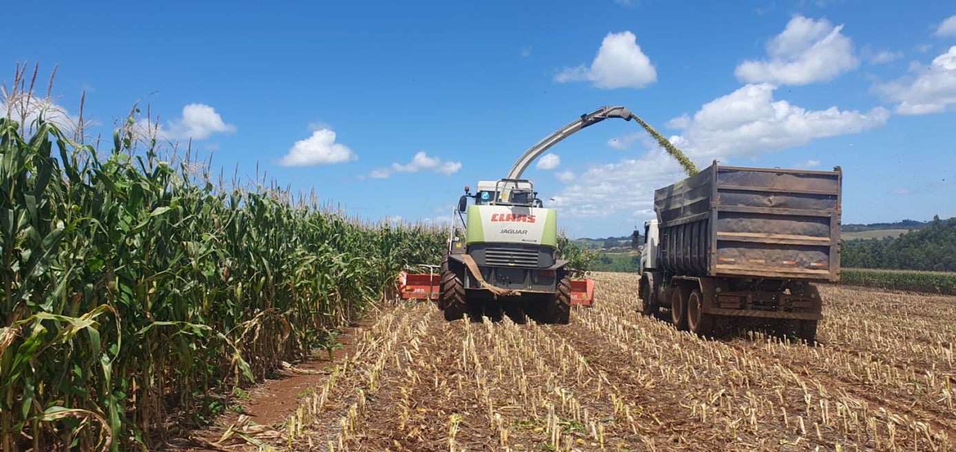 Cadastro Ambiental Rural é obrigatório para produtores de Xanxerê