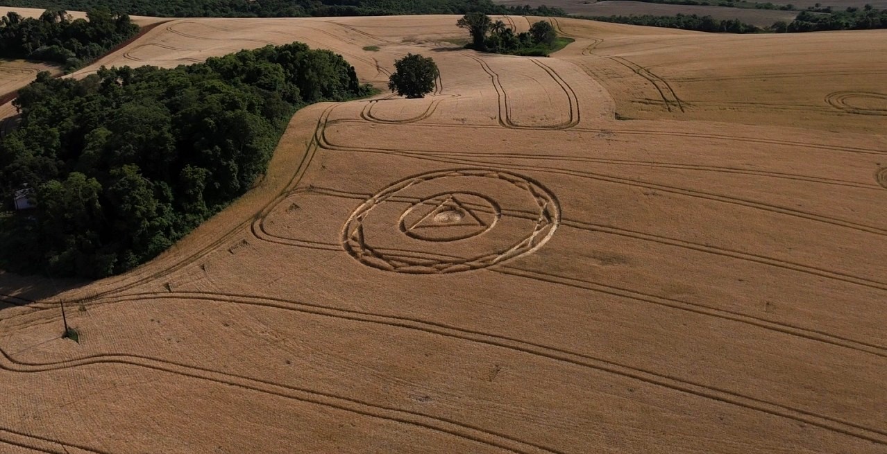VÍDEO: agroglifos voltam a aparecer em Ipuaçu e reacendem o mistério