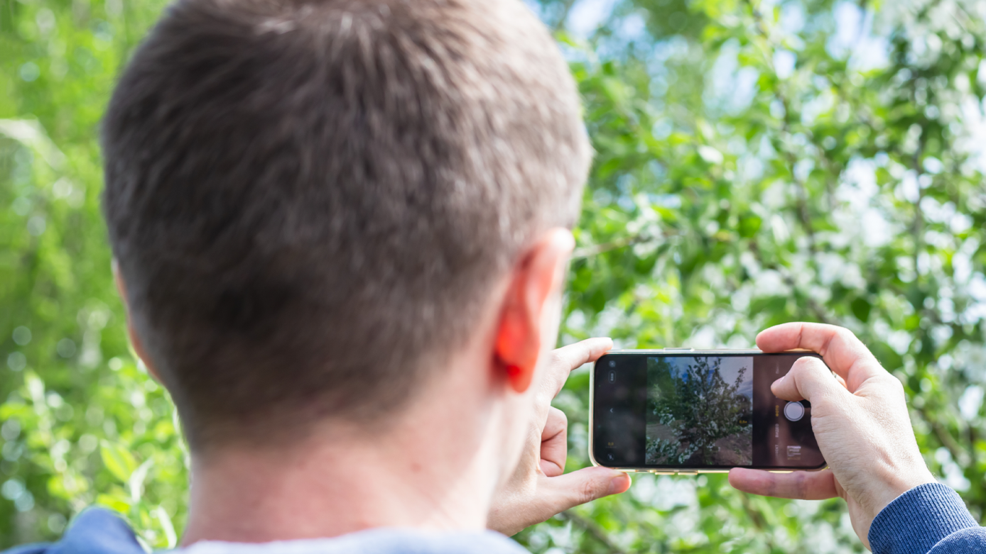 Novo vírus no iOS preocupa usuários: SparkCat pode roubar dados de imagens