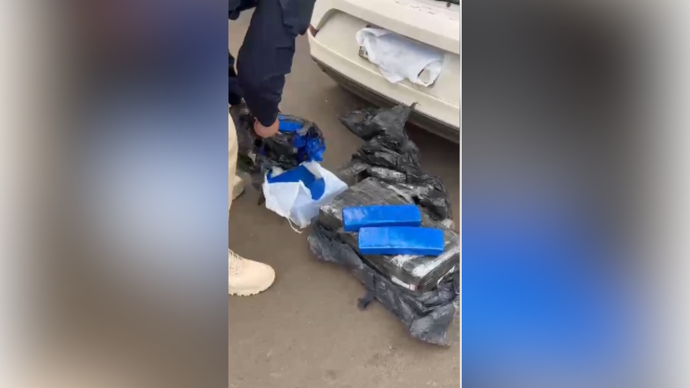 PRF apreende 58 quilos de maconha no Meio-Oeste de Santa Catarina