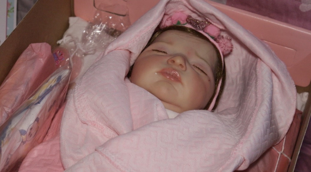Bebês Reborn: realismo artístico em forma de bonecas de vinil 