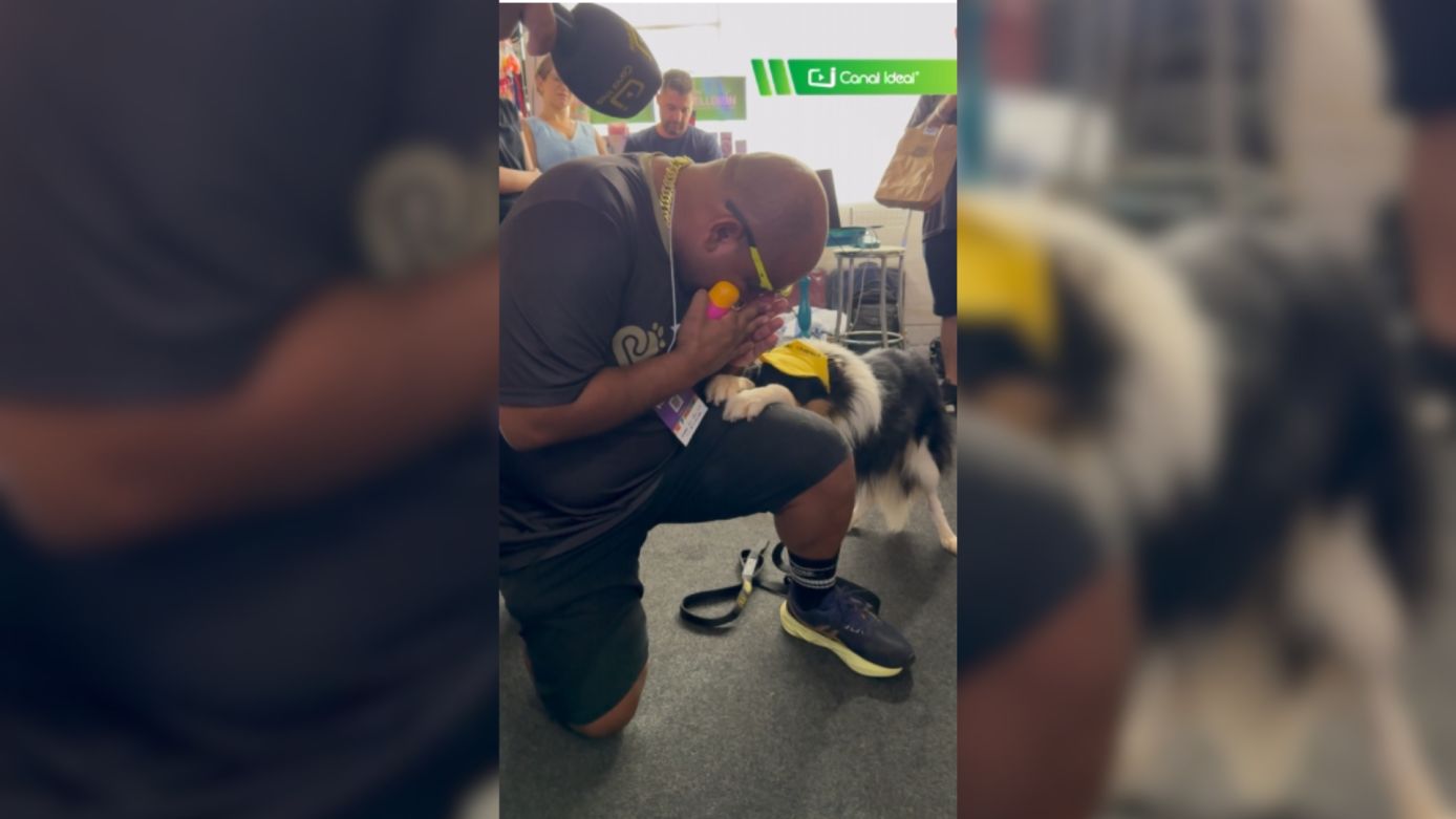 VÍDEO: você teria coragem de desafiar o Cão Chapecó na matemática?