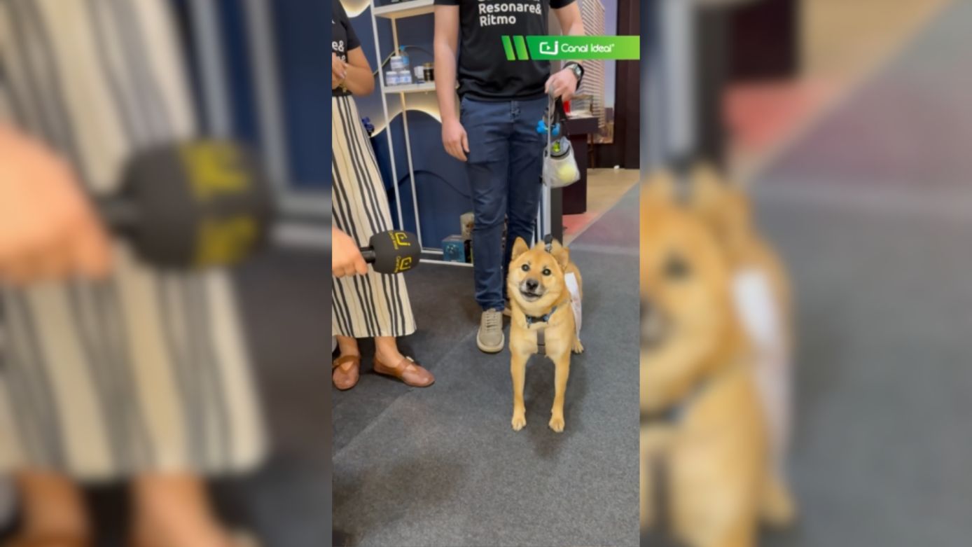 VÍDEO: Nem só de gravações sérias vive uma cobertura!