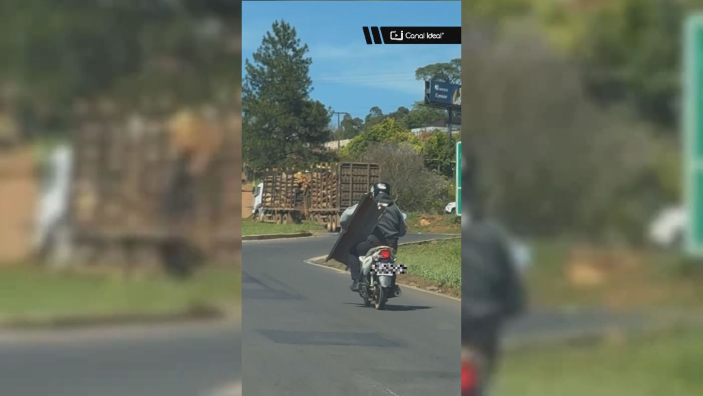 VÍDEO: Cena inusitada chama atenção na BR-282, em Xaxim