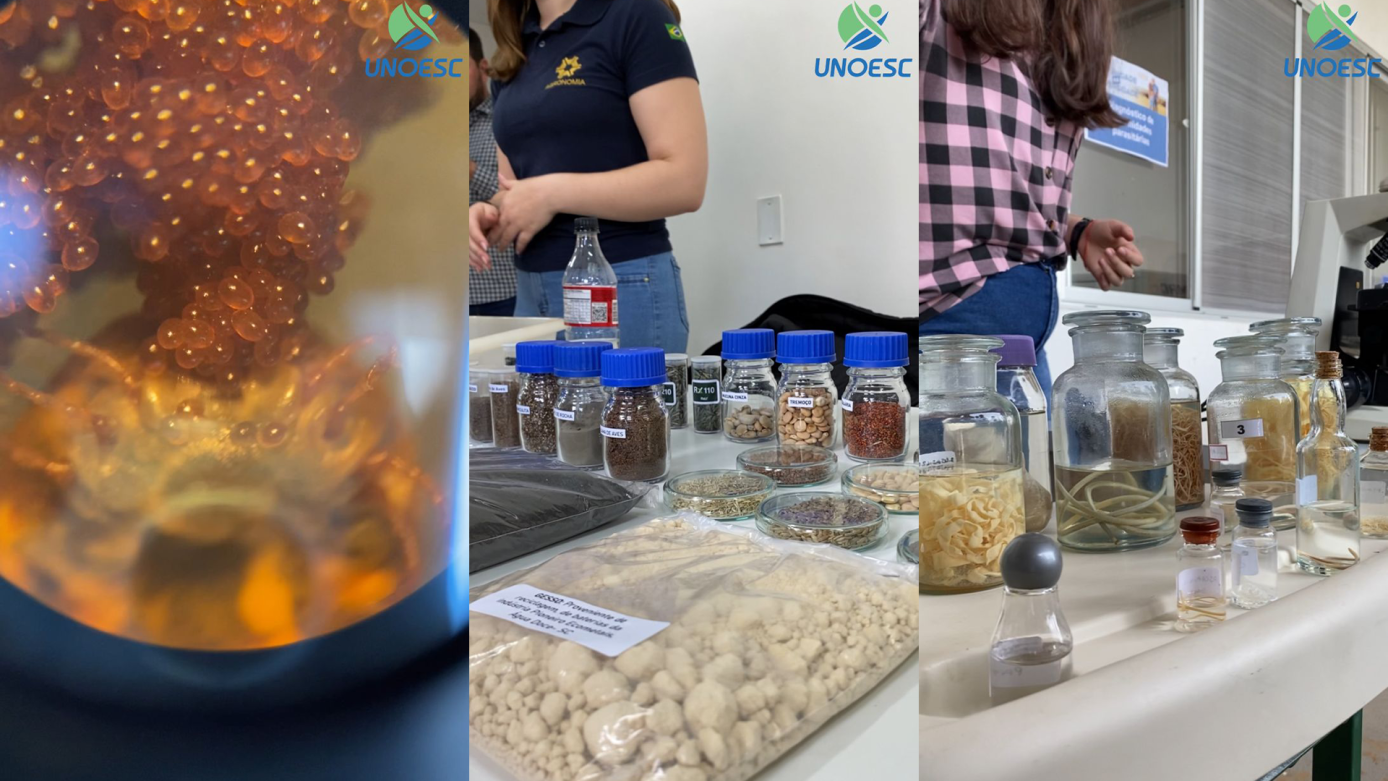 VÍDEO: Unoesc recebe a comunidade no campus II para conhecer a estrutura e atividades