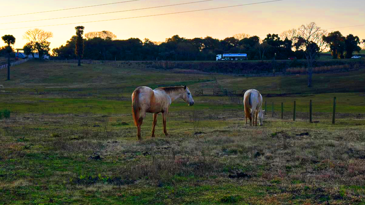 VÍDEO: Vem aí a 1ª Festa do Peão no Haras Keoma em Xanxerê