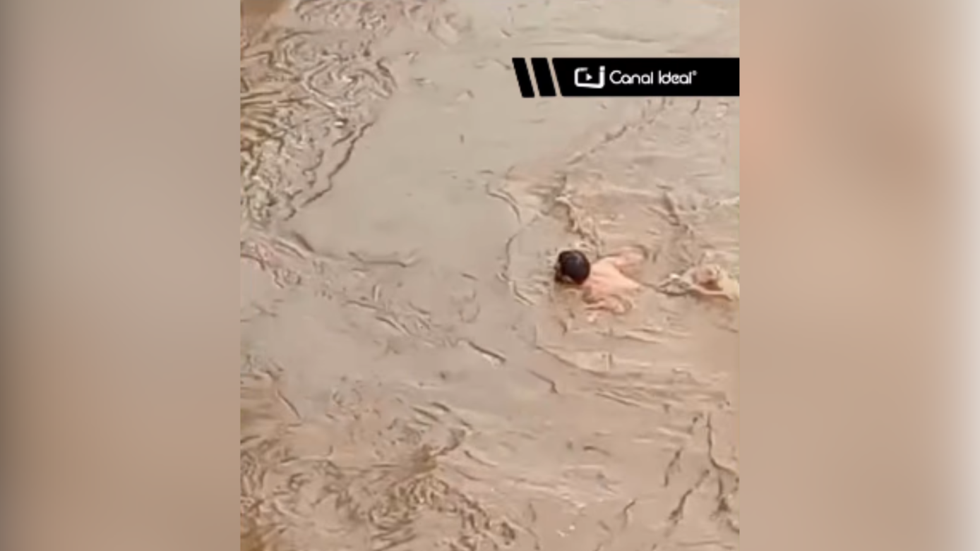 VÍDEO: duas pessoas pulam no Rio do Peixe, em Videira, desafiando forte correnteza